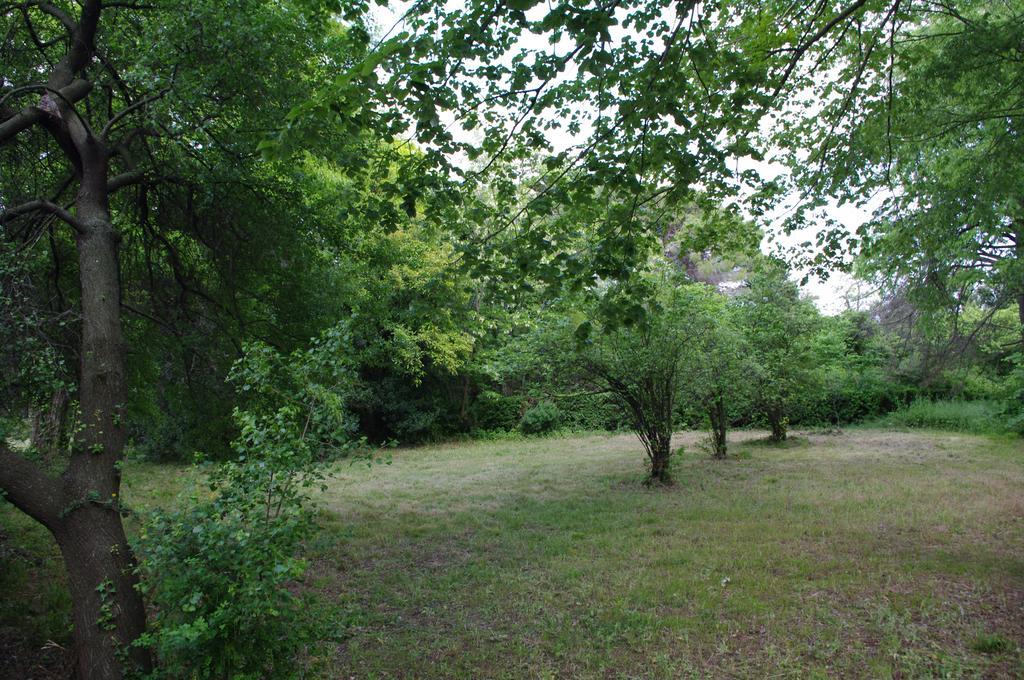 Casa de hóspedes Chateau Le Vergel Authenac 3*
