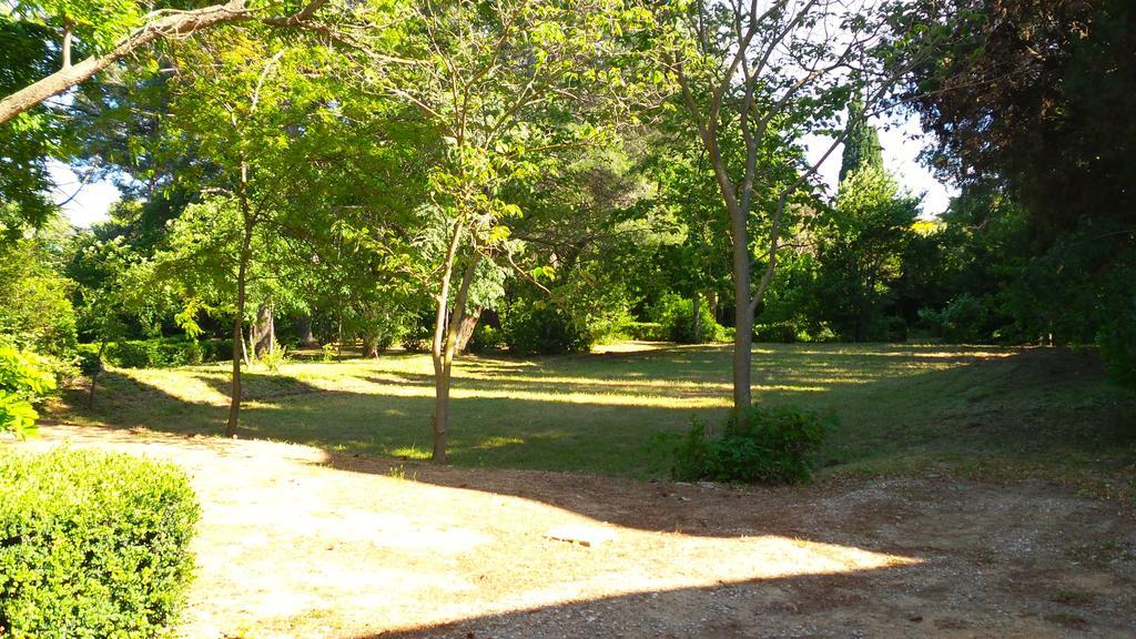 Chateau Le Vergel Authenac Guest house Ginestas