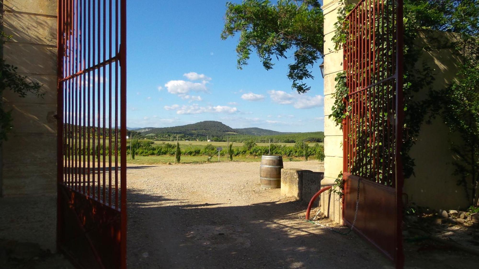 Chateau Le Vergel Authenac Casa de hóspedes Ginestas